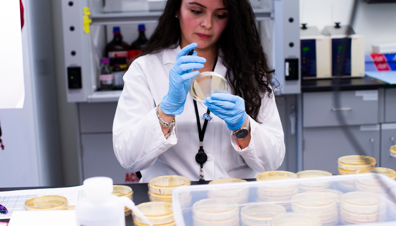 Identical Samples Your Gut Microbiome Test Might Be Wrong, a New Study Finds