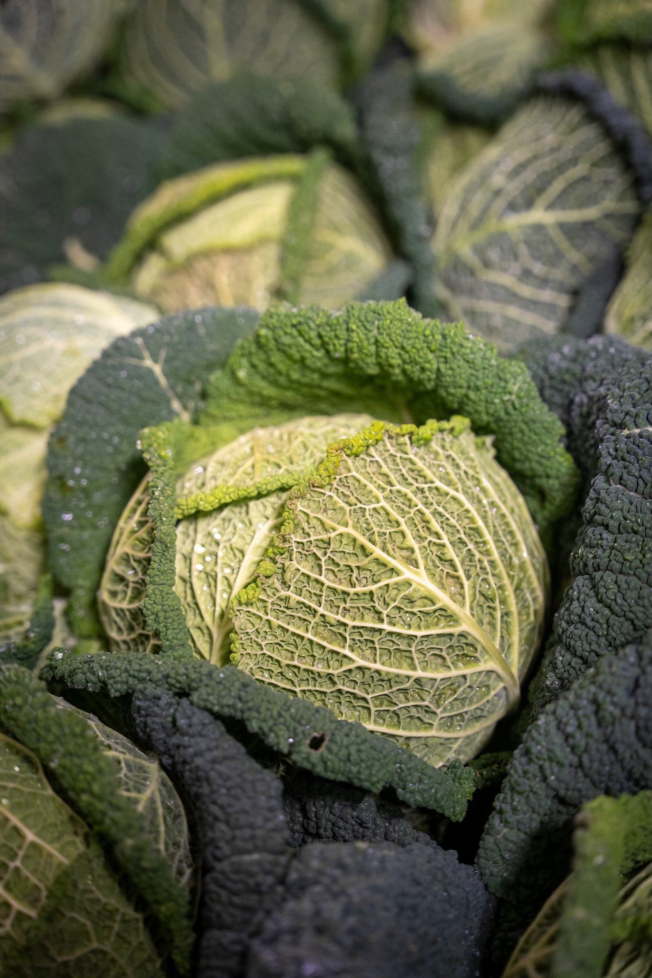 GettyImages-2261681068 Do Greens Gummies Have the Same Nutritional Value as Powders