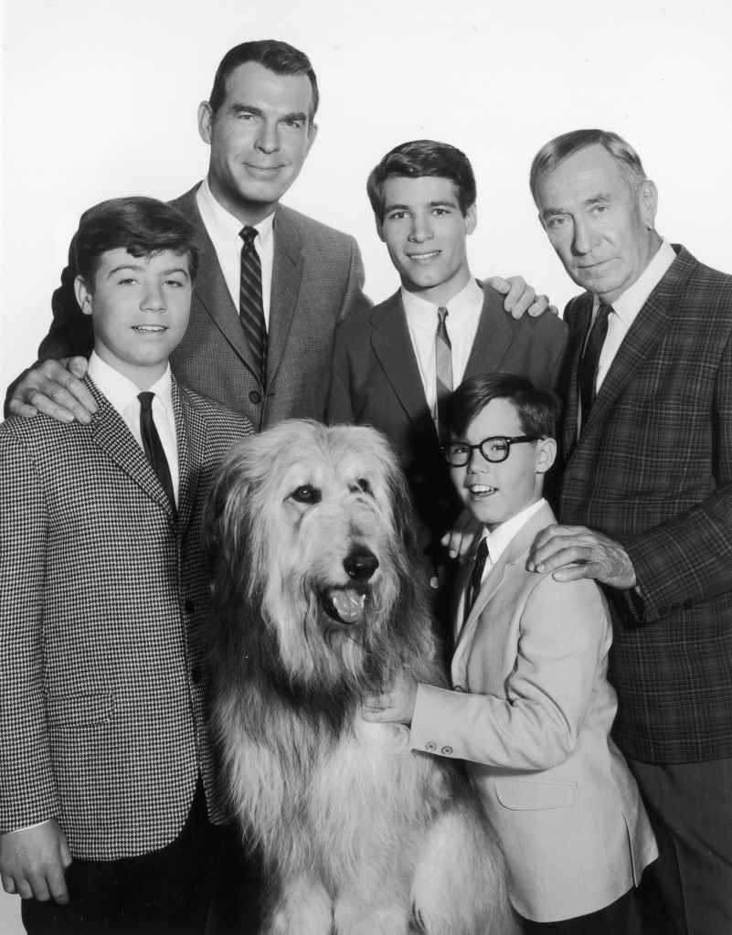 circa 1965: Promotional portrait of the cast of the television series, 'My Three Sons'. L-R: Stanley Livingston, Fred MacMurray (1908 - 1991), Don Grady, William Demarest (1892 - 1983), and Barry Livingston.