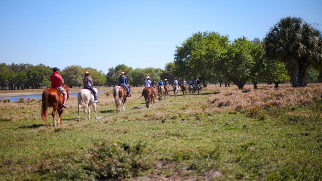 Horseback riding