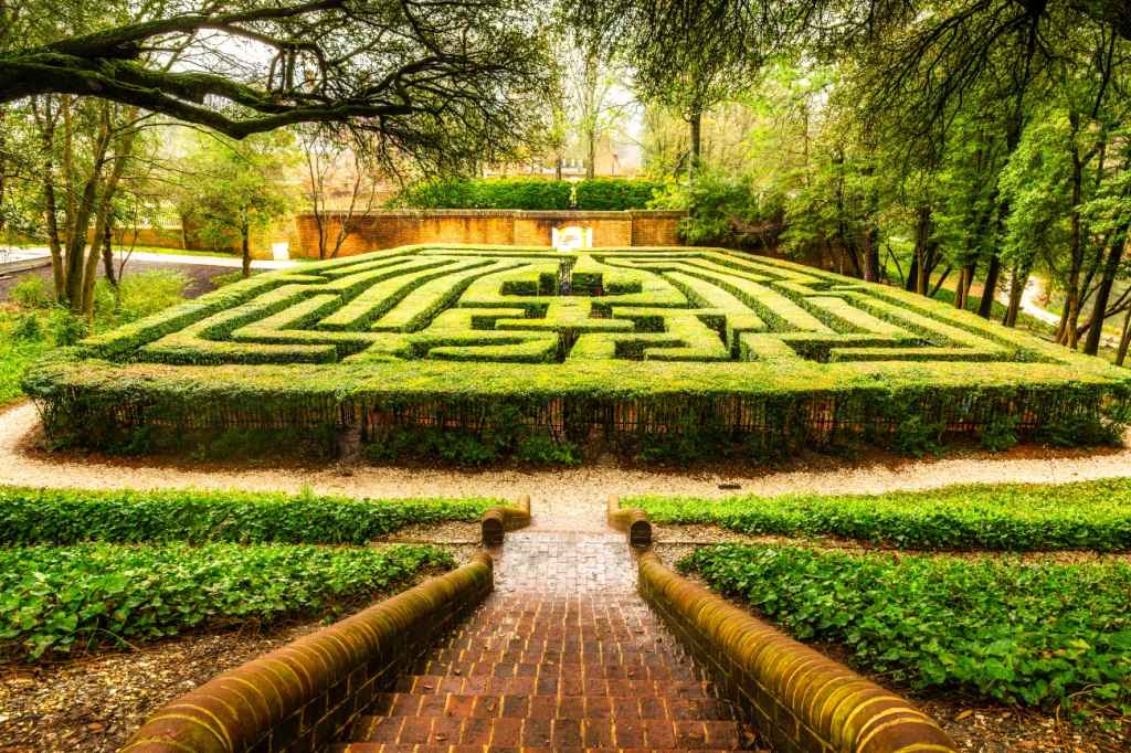 Hedge maze