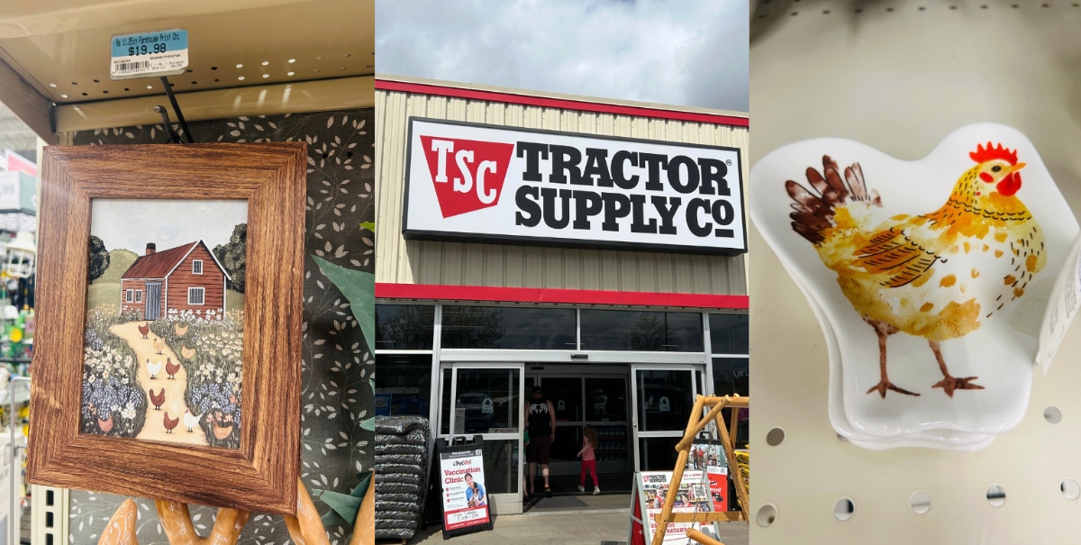 I Spied the Cutest Tractor Supply Farmhouse Decor Hidden Gems and They’re All Un...