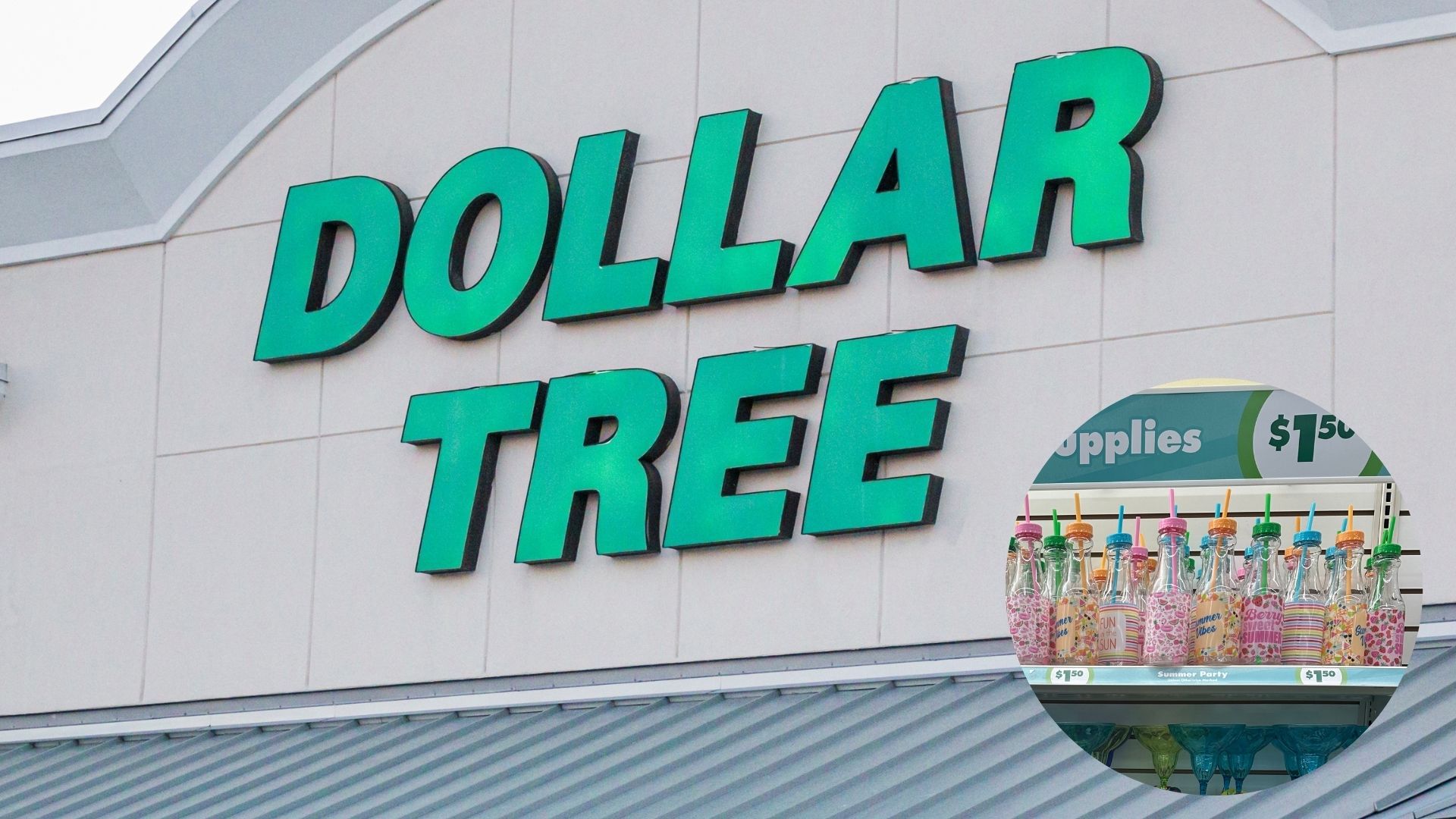 tropical party dollar tree