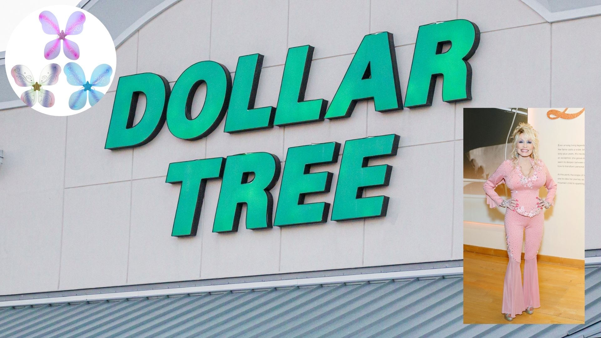 dolly aesthetic dollar tree