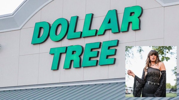 ella langley dollar tree