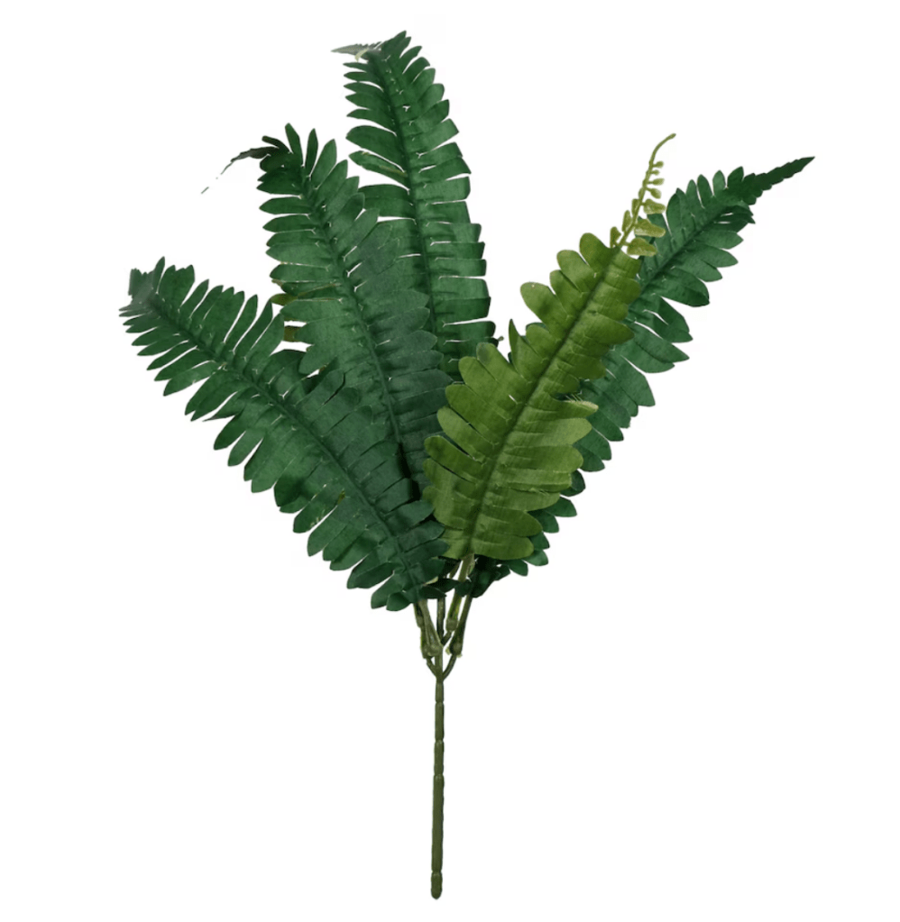 Fern frond from Dollar Tree