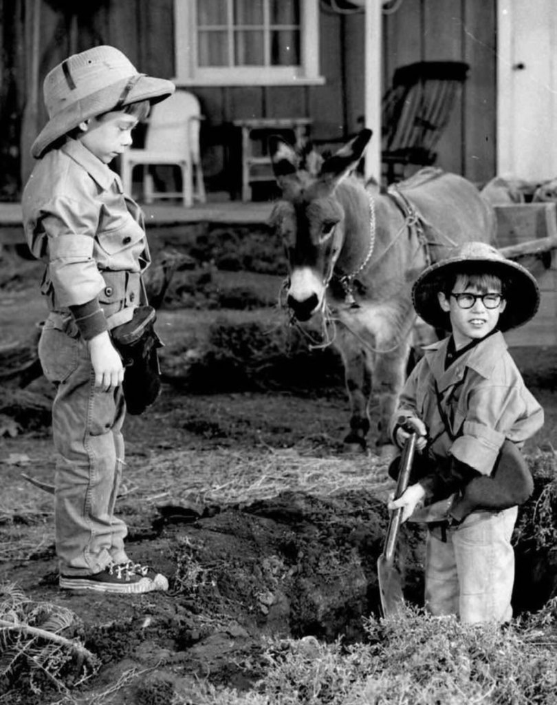 Brothers Stanley and Barry Livingston