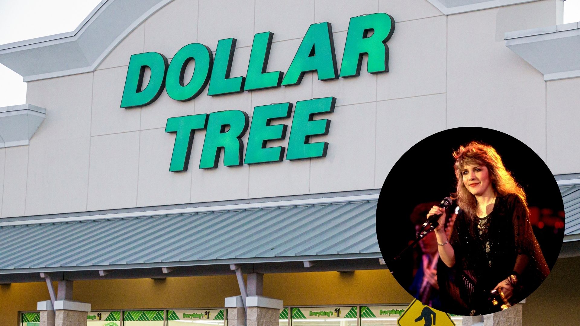 stevie nicks dollar tree