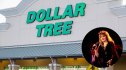 stevie nicks dollar tree
