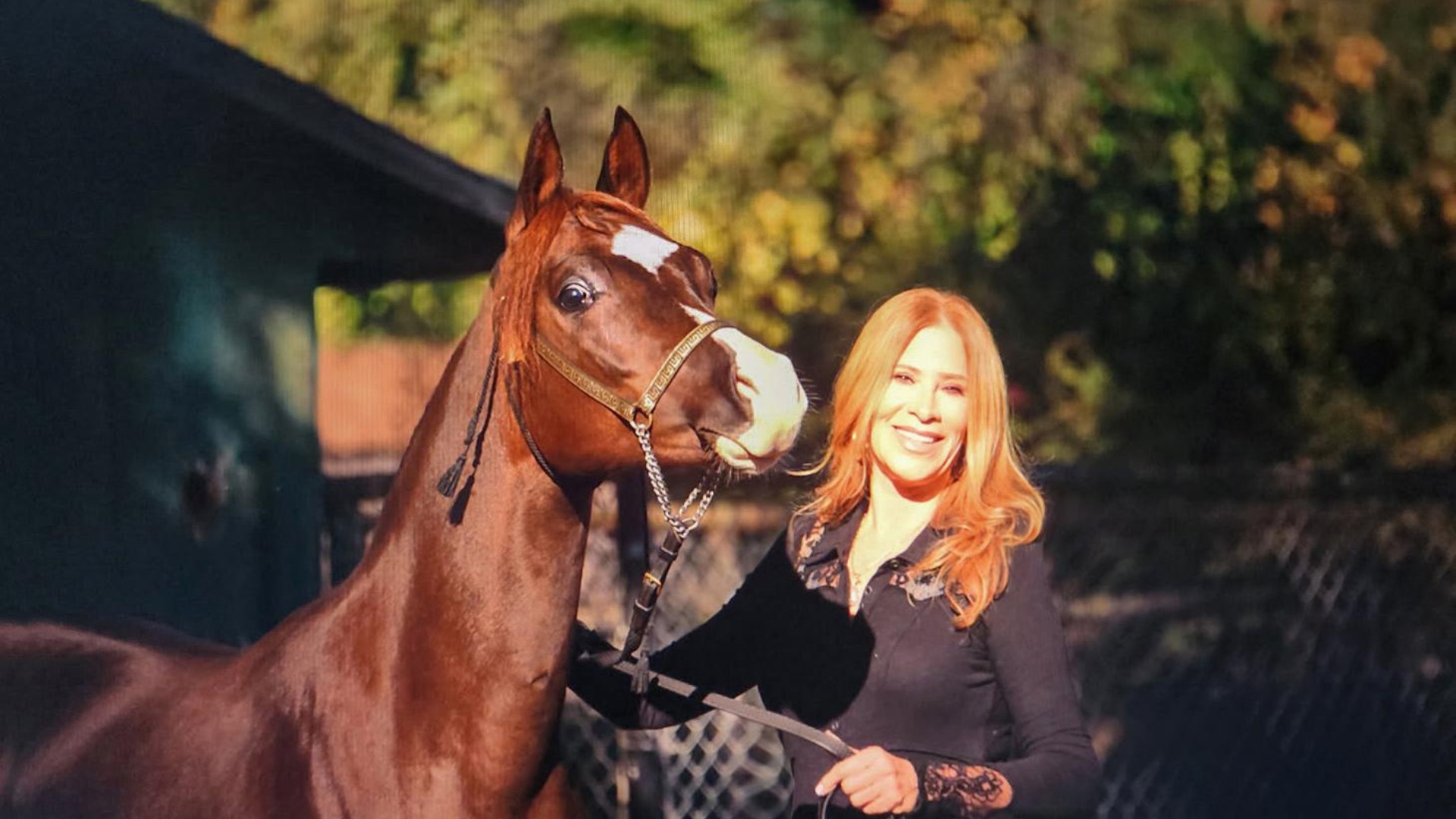 Ann Lesley Smith with Arabian horse Amir Fadjur Salaam.