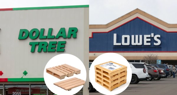 Dollar Tree/Lowe's