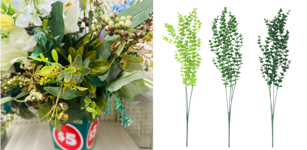 Plants