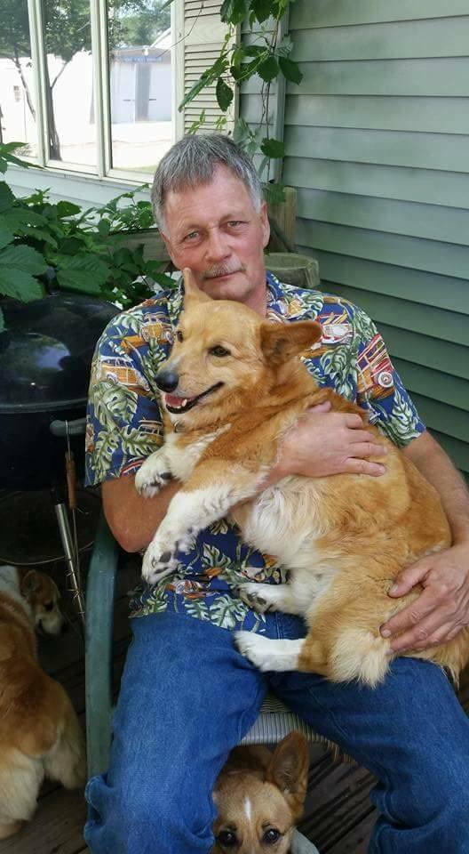 "I'm glad to have the chance to care for them," Brett says of all the corgis he loves on