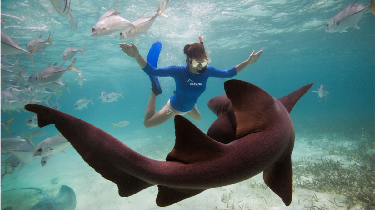 Kate Walsh Shares Easy Ways Anyone Can Help Save Our Oceans (Exclusive)