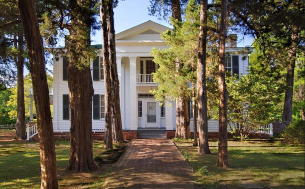 Rowan Oak