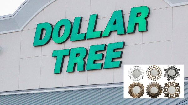 ann patchett dollar tree