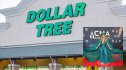 lainey wilson dollar tree