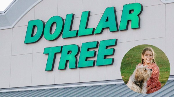 dollar tree laura ingalls