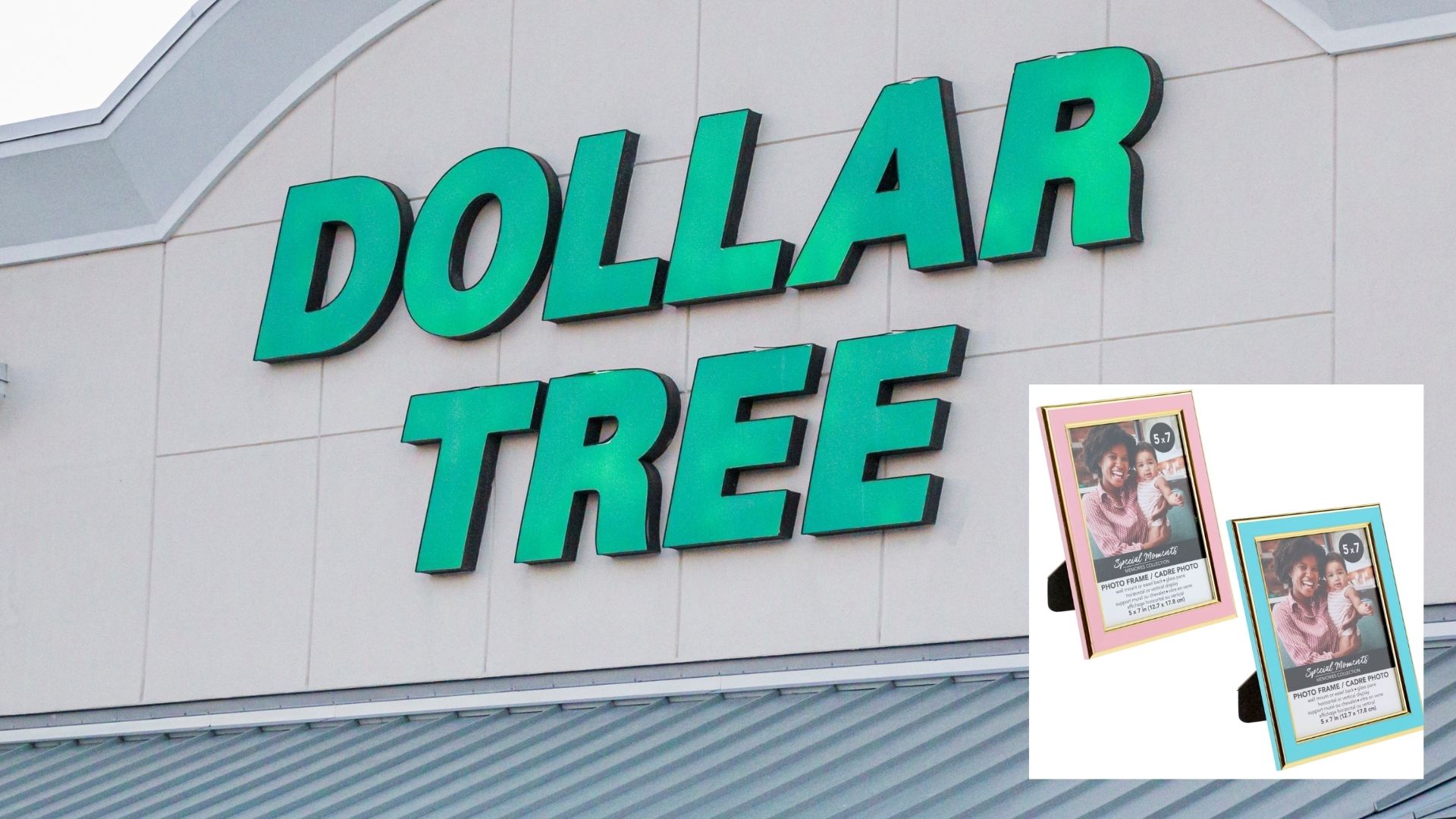 midcentury dollar tree