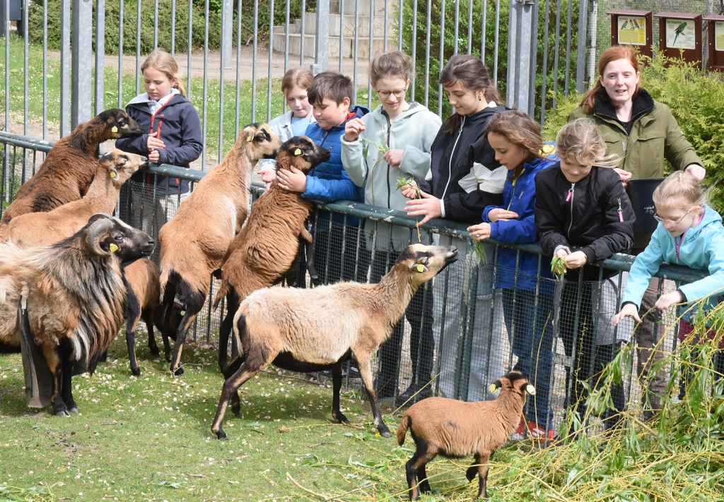 During an integrated school zoo lesson at Thomas Müntzer Primary School in Schkeuditz