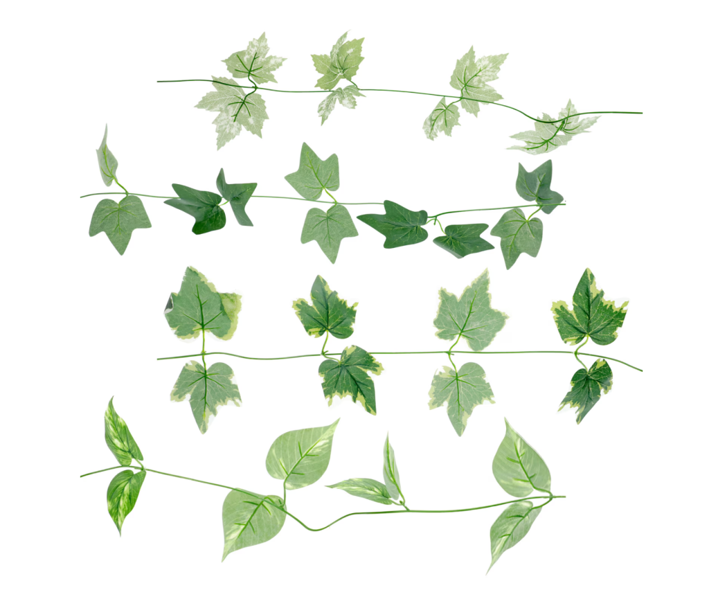 vines