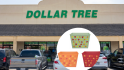 Dollar Tree Budget Living Room Items for Fall Are Here!