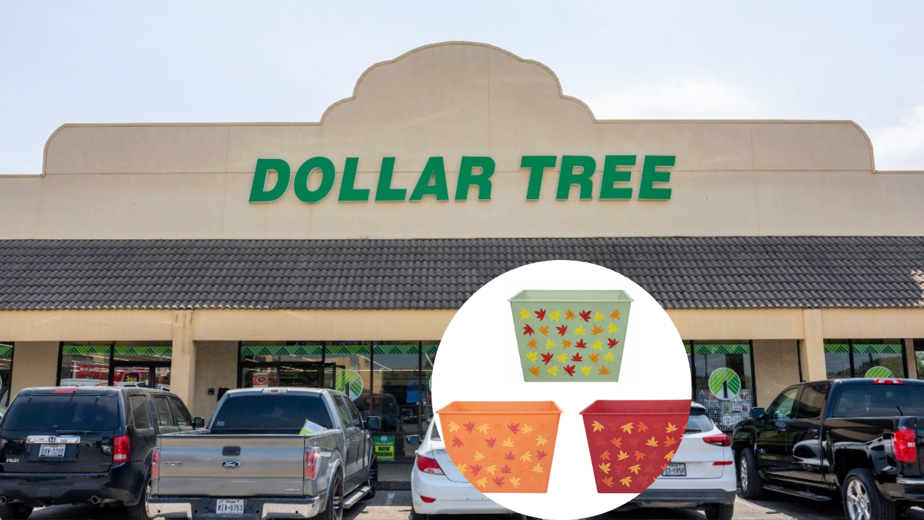Pure Autumn Bliss! Shop These Dollar Tree Budget Living Room Items Before They S...