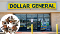 Dollar General