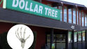 Dollar Tree