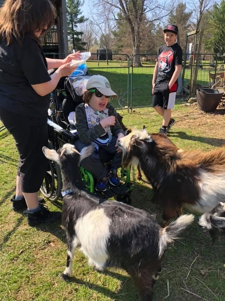 The goats bring joy and healing to every visitor