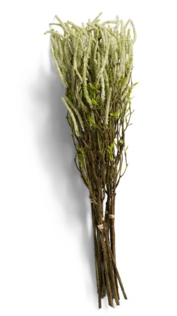 Grass