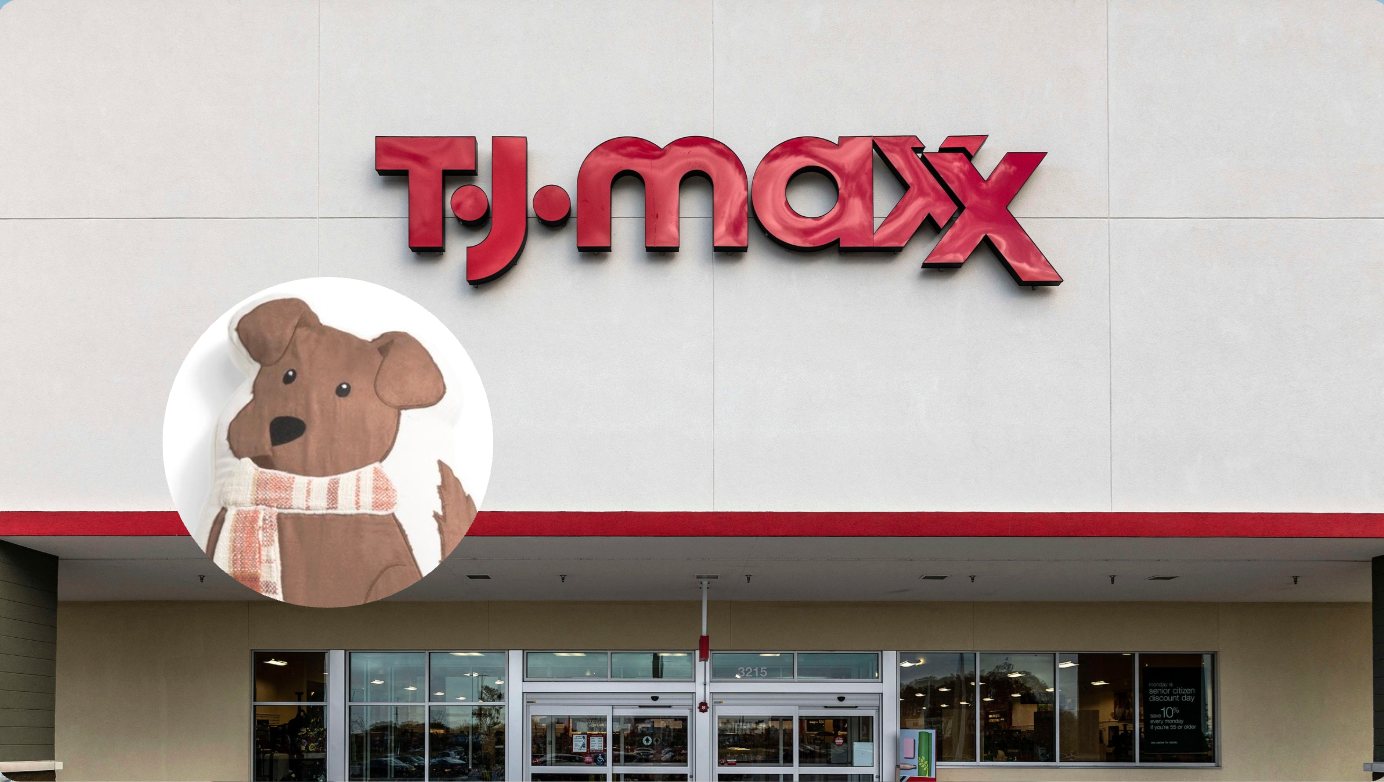 So Precious! These $6-and-Up TJ Maxx National Dog Day Finds Have Pet Parents Rus...