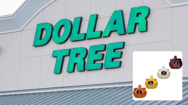 dollar tree