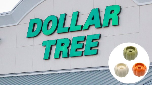 dollar tree fall dupes