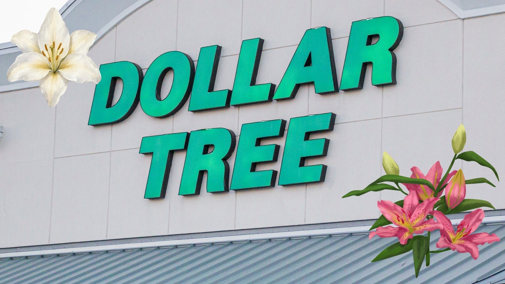 dollar tree