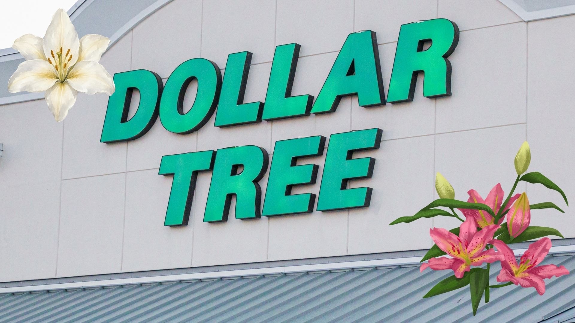 Love Author Colleen Hoover? These Dollar Tree Finds Can Give Your Home Her Signa...