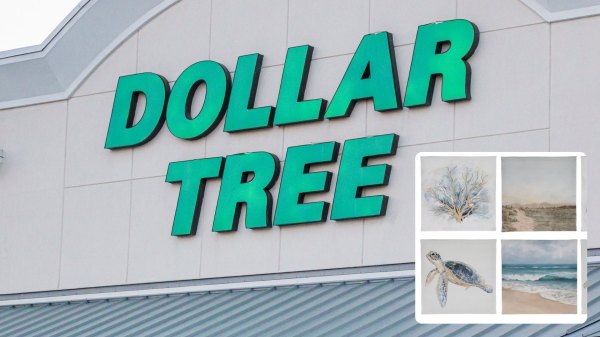 dollar tree