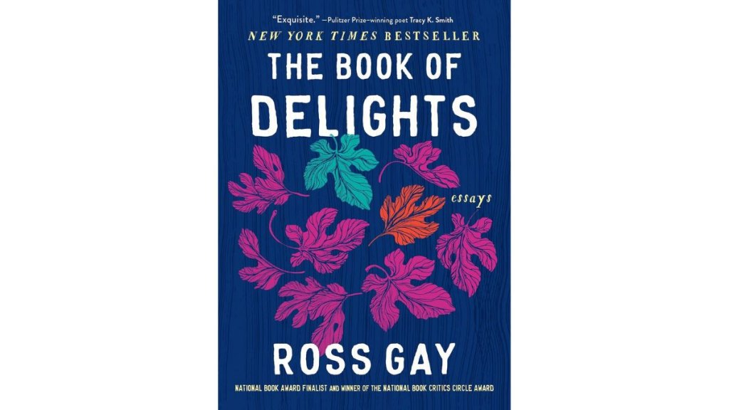 The cover for 'The Book of Delights'