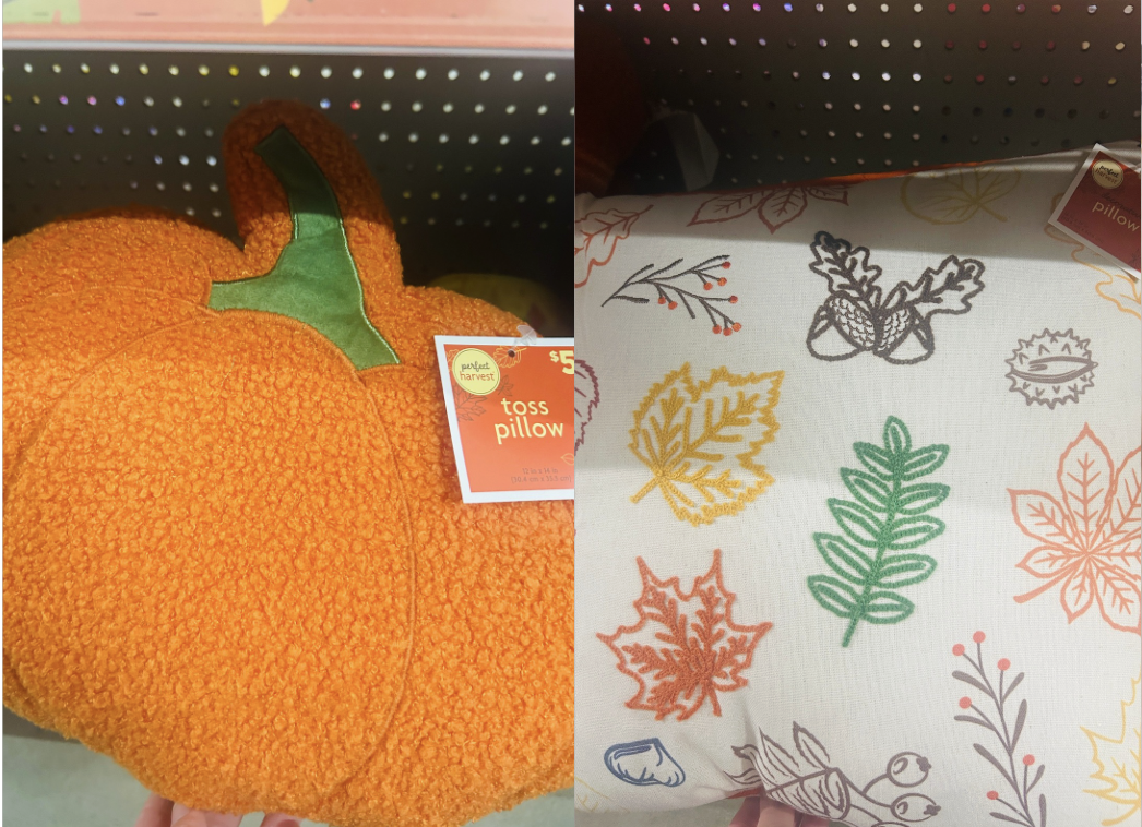 Shop the Dollar General Cottagecore Blanket and Fall Decor Now!