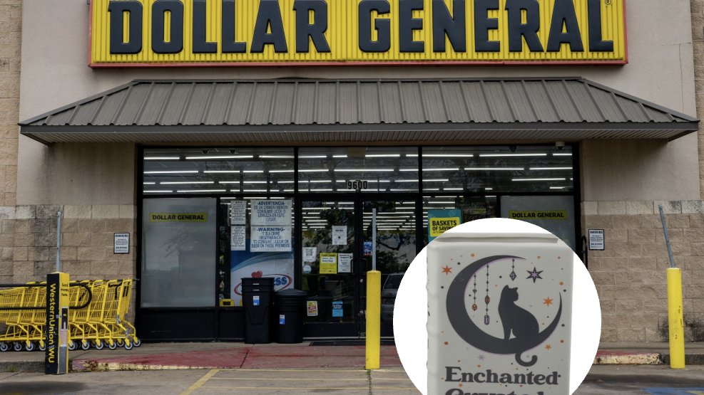 Love the Whimsigothic Aesthetic? Shop Dollar General Halloween Starting at $1!