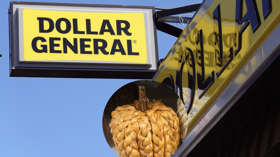Score the Ralph Lauren Fall Look With Dollar General Budget Finds $5 and Under
