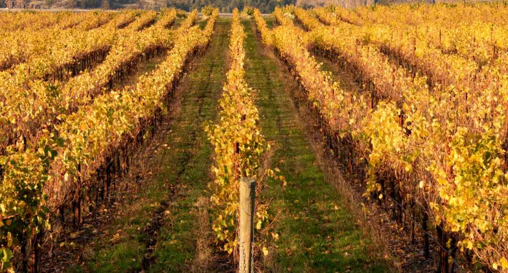 Winery