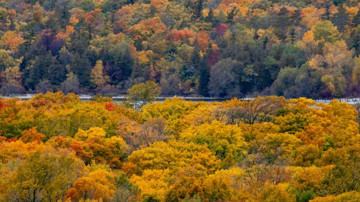 Head to Door County, Wisconsin for Some Seriously Fun Fall Activities! Your Guide to the ‘Cape Cod of the Midwest'