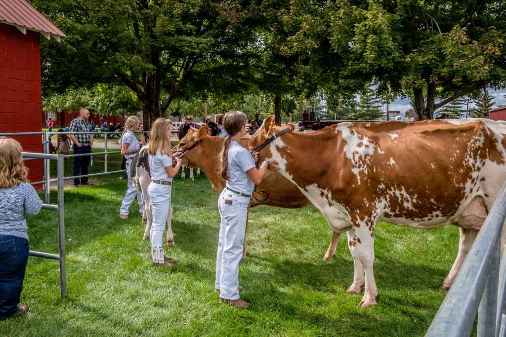 Kathy is grateful to be a part of helping give fairgoers a look into the community’s agricultural heritage