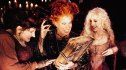 books like hocus pocus