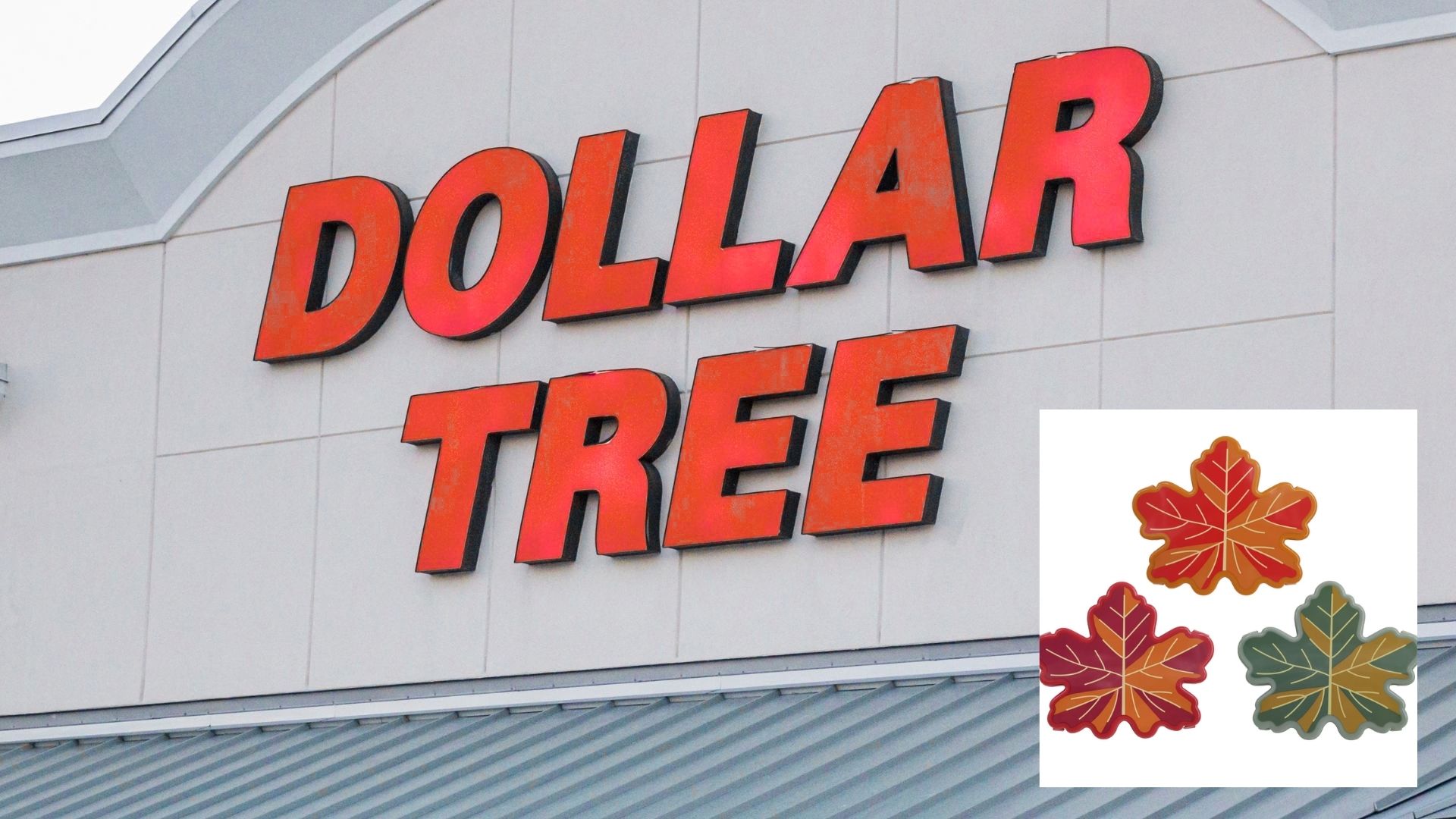dollar tree