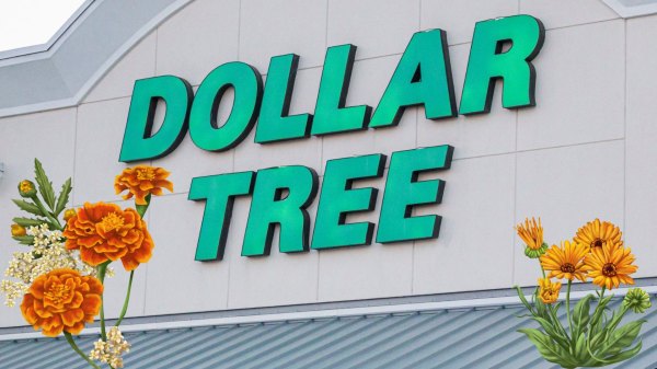 dollar tree ree