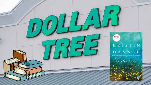 kristin hannah dollar tree