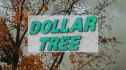 dollar tree