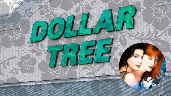 This $1.50 Dollar Tree Decor Inspired by 'Practical Magic' is Spellbinding!